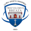 CS Tricolorul Breaza